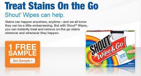 shout wipes