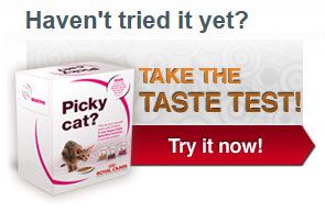 picky cat