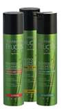 garnierhairspray