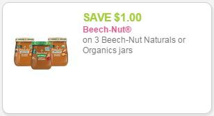 beech