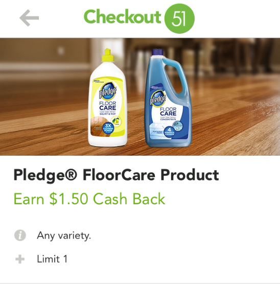 pledge co51