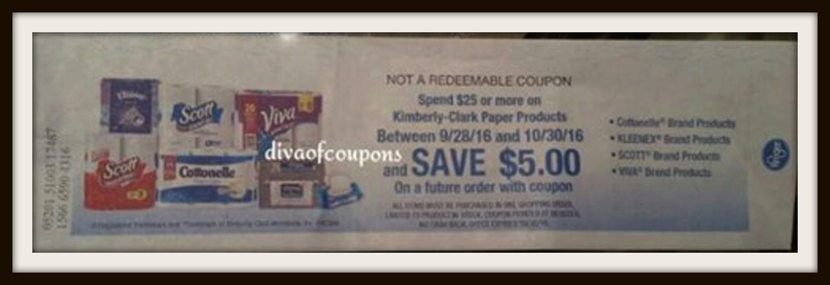 kimberly-clark-catalina