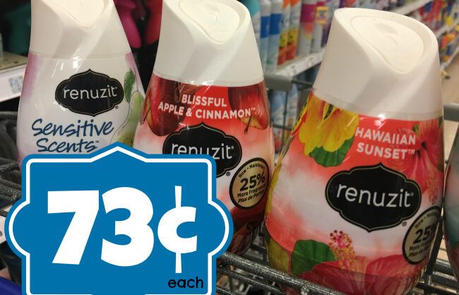 NEW Renuzit Coupon | Adjustables Air Freshener Cones as low as $0.73 at ...
