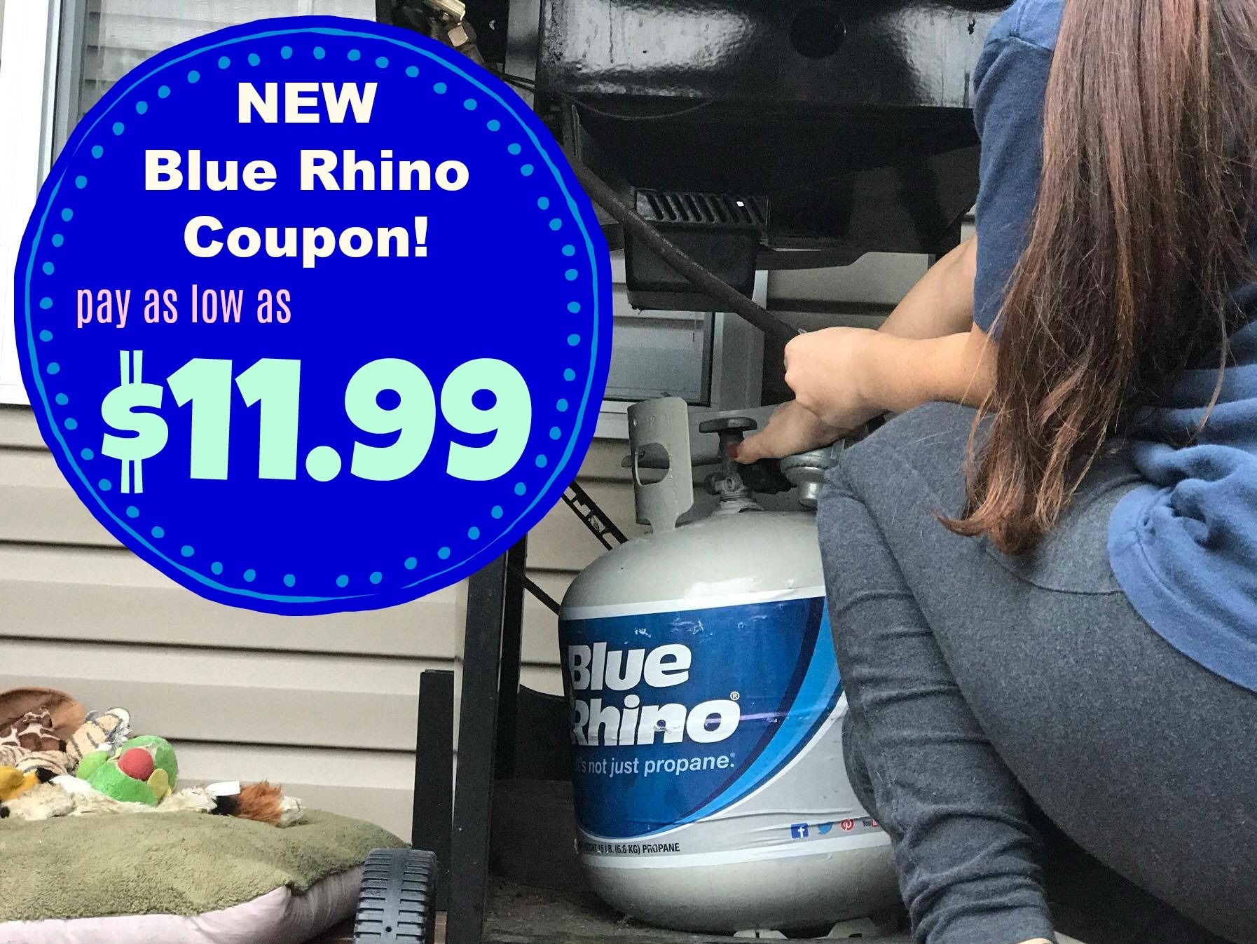 NEW Blue Rhino Coupon Mail In Rebate Propane For As Low As 11 99 NEW Blue Rhino Coupon Mail In Rebate Propane For As Low As 11 99