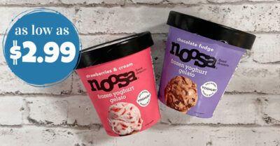 Noosa Gelato Kroger Krazy