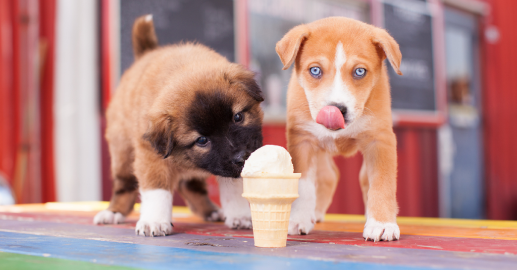 Dogsters Ice cream treats kroger