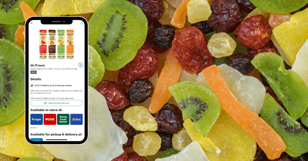 solely fruit jerky ib