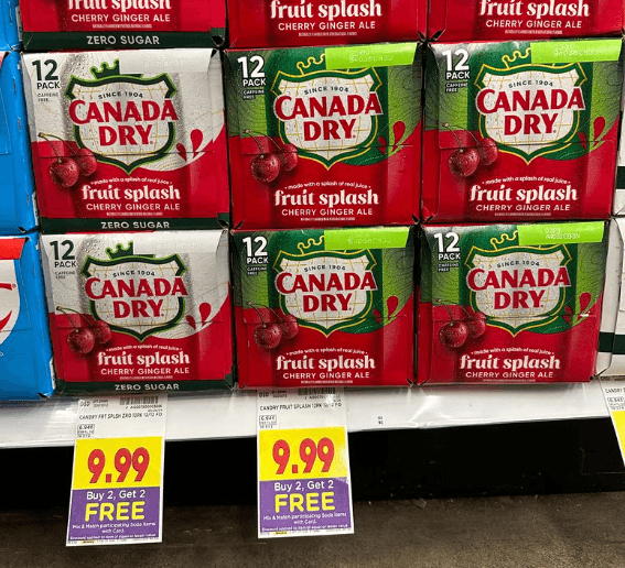 Canada Dry Fruit Splash Ginger ALe Kroger Shelf Image