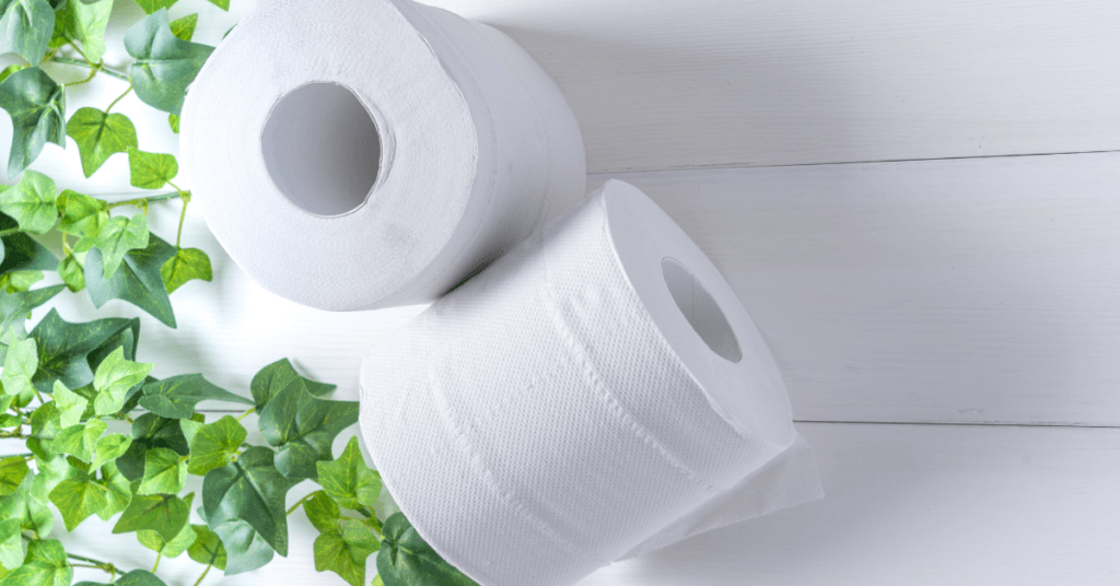 Quilted Northern, DIXIE and Angel Soft Kroger Krazy (2)