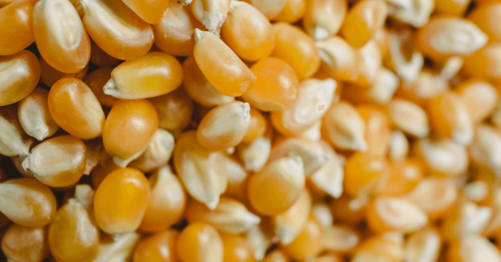 kroger popcorn kernels bogo