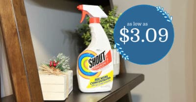 Shout Stain Remover Kroger Krazy