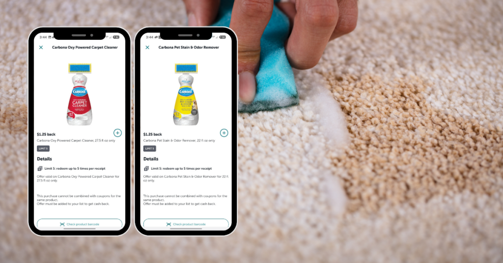 carbona carpet cleaner ib
