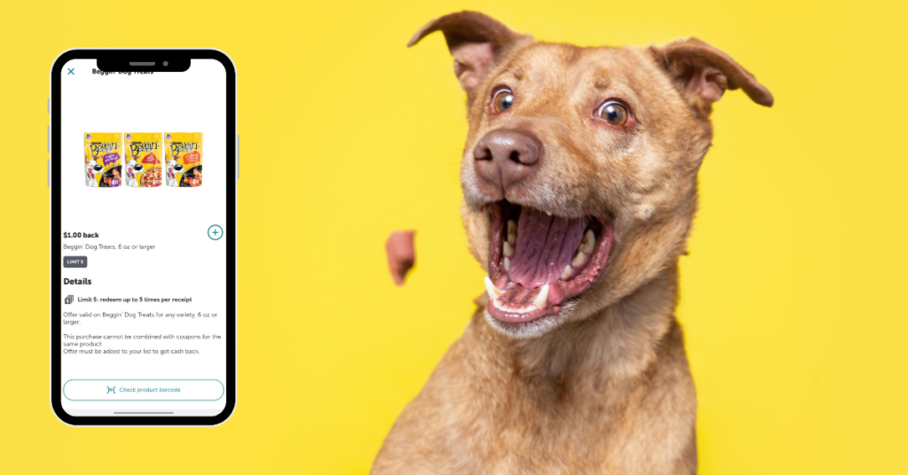 beggin's strips ib