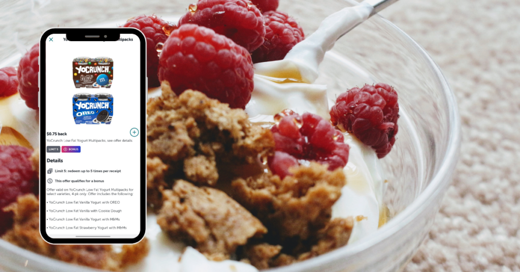 yocrunch yogurt ib