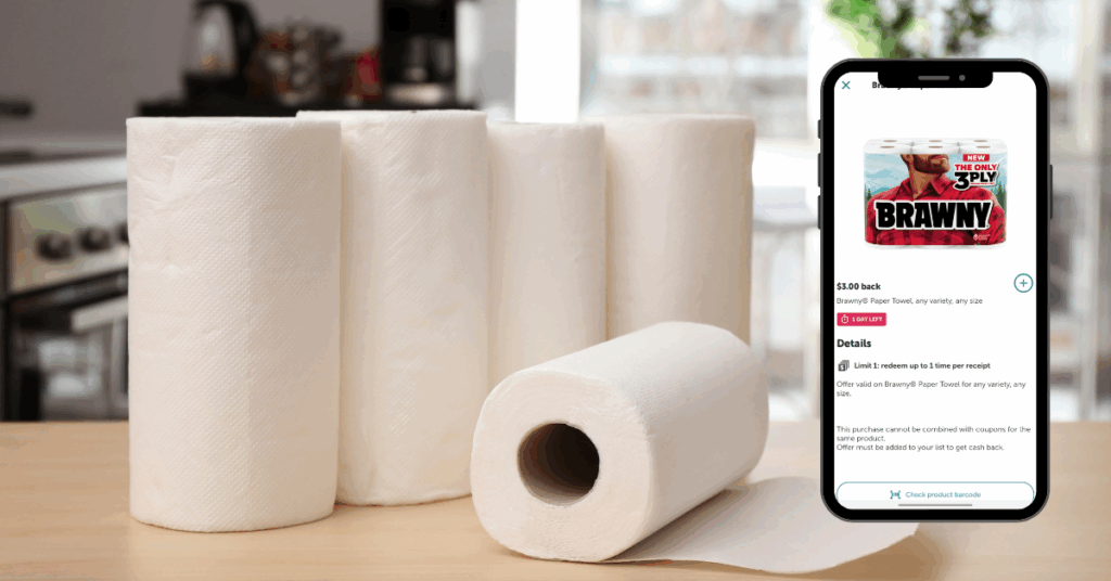 brawny paper towels ib