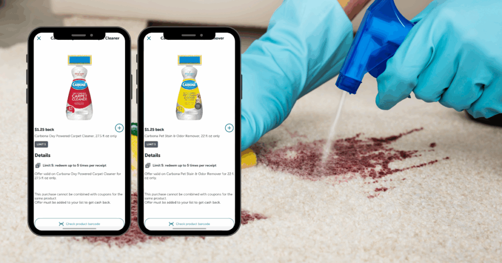 carbona carpet cleaner ib