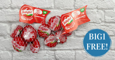 babybel cheese (2) kroger krazy