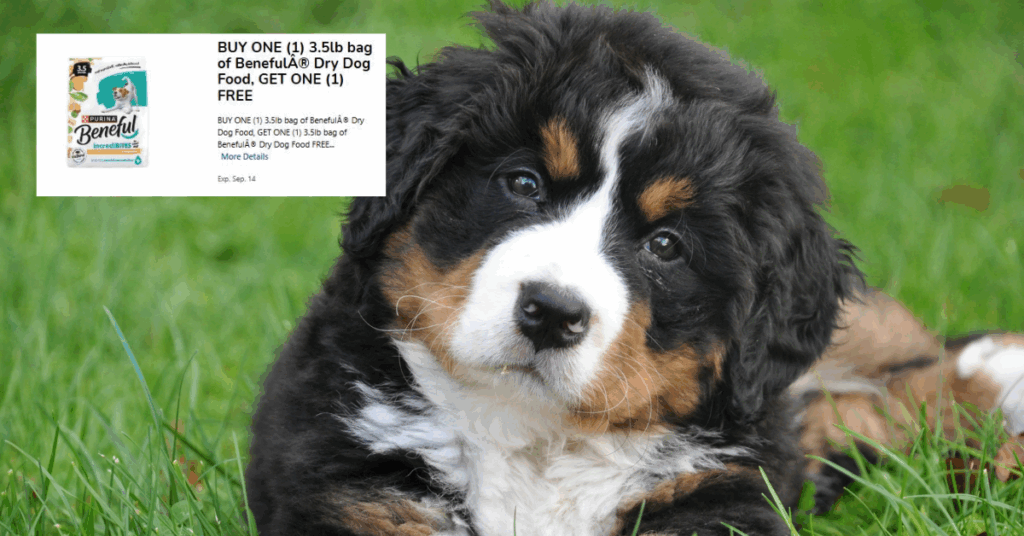 Beneful Dry Dog Food Kroger Digital Coupon