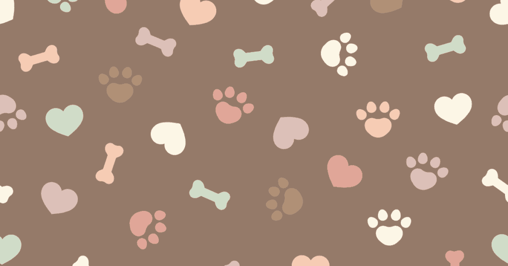 dog treats