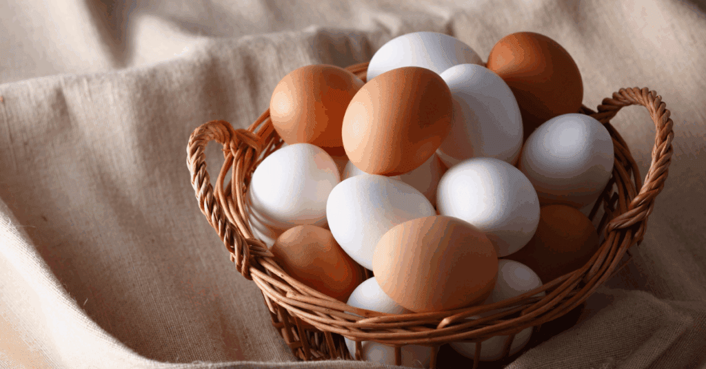 happy egg