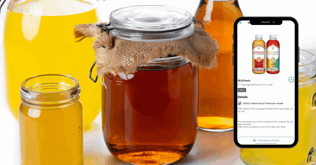 gt's synergy kombucha
