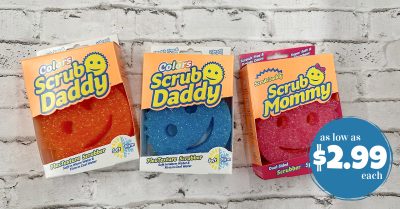 scrub daddy and mommy kroger krazy (2)