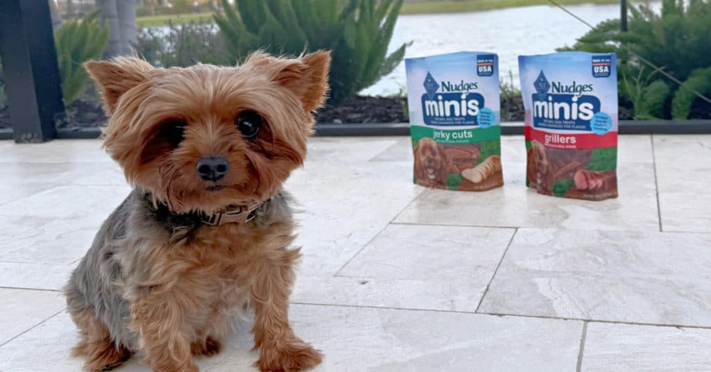 Blue Nudges Mini Dog Treats Kroger