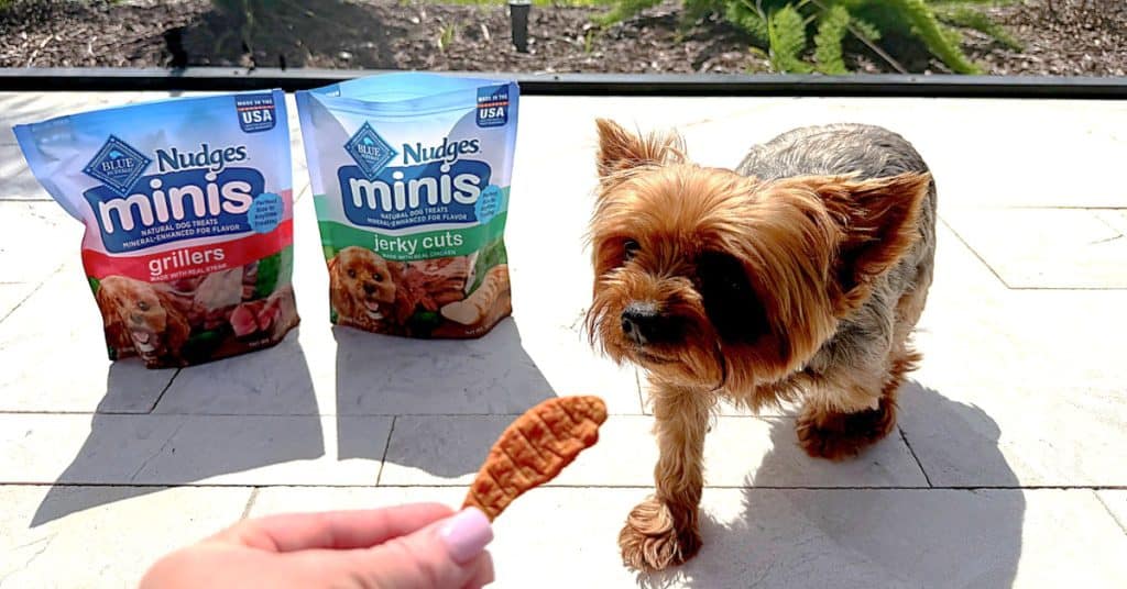 Blue Nudges Minis Dog Treats Kroger and Zander