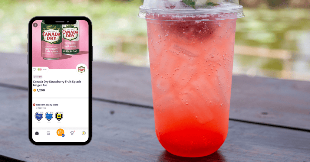 canada dry fruit splash