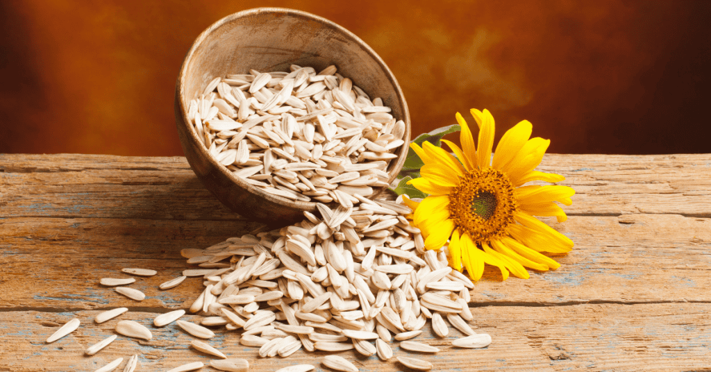 smackin' sunflower seeds