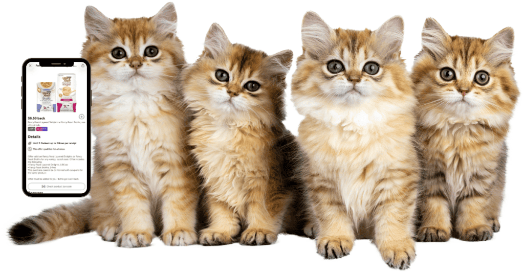 purina cat treats kroger ibotta rebate