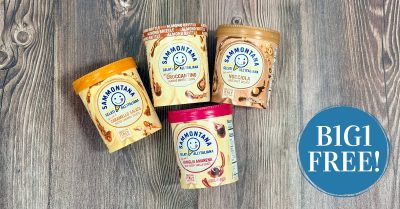 sammontana italian gelato kroger krazy