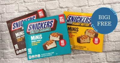 Mars Snickers Minis Ice Cream Bars Kroger Krazy